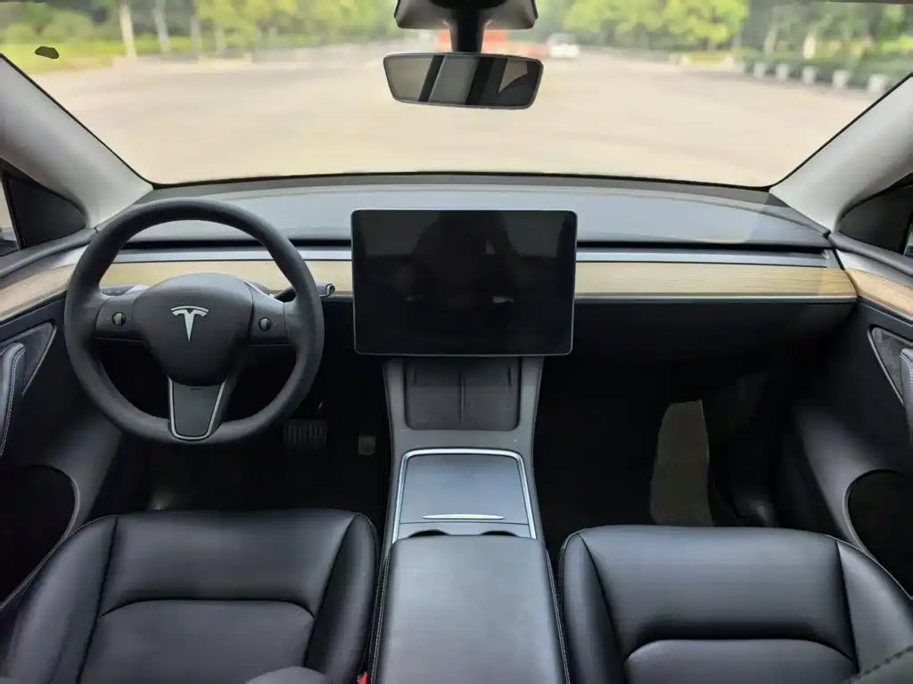 Tesla Model Y — фото 10