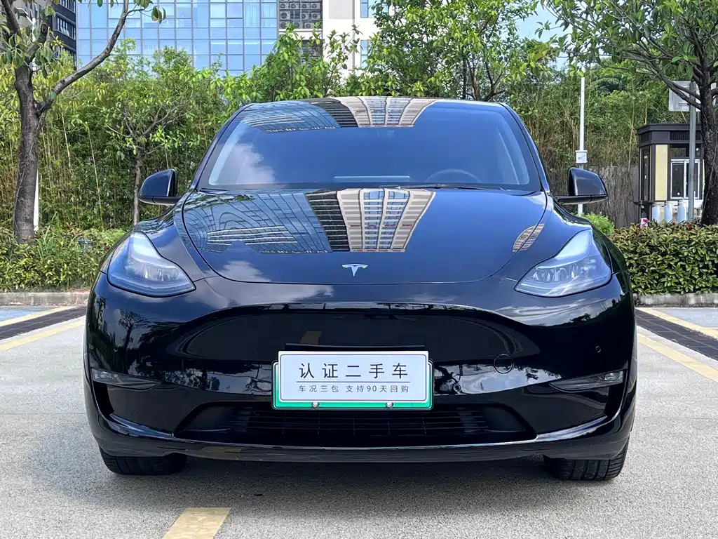 Tesla Model Y — фото 2