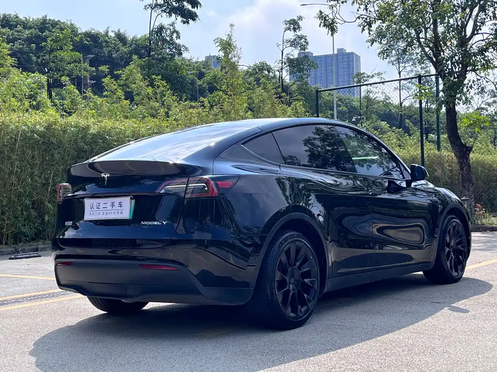 Tesla Model Y — фото 11