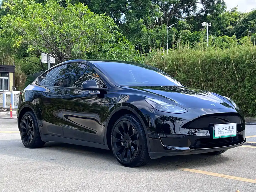 Tesla Model Y — фото 3
