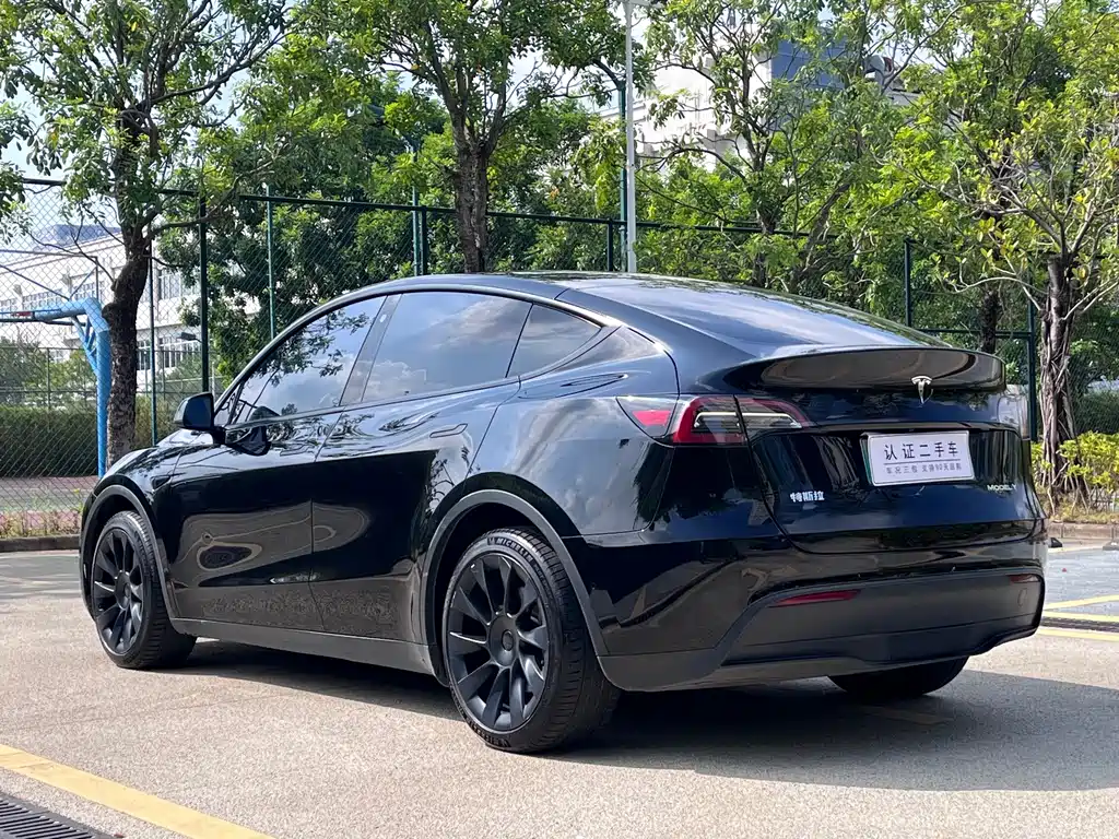 Tesla Model Y — фото 9