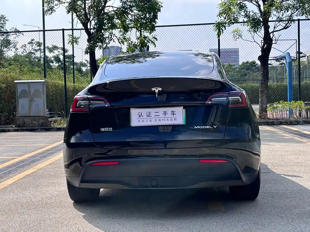 Tesla Model Y — фото 10