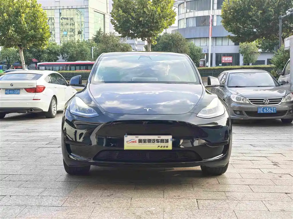 Tesla Model Y — фото 2