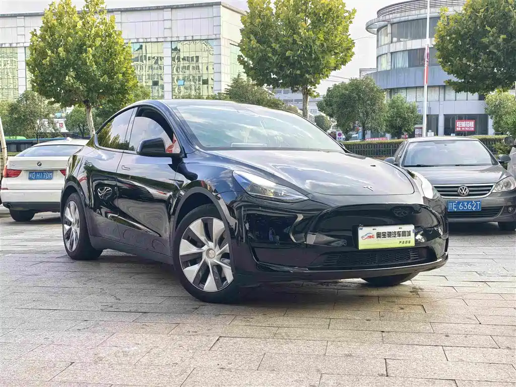 Tesla Model Y — фото 3