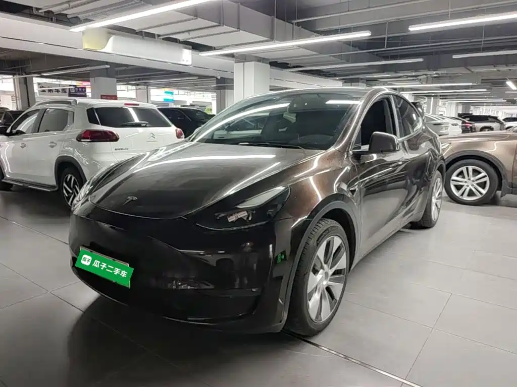 Tesla Model Y — фото 2