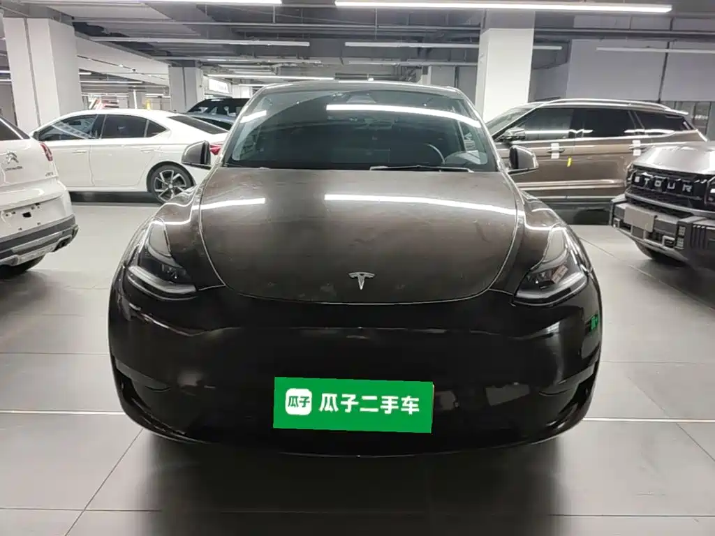 Tesla Model Y — фото 3