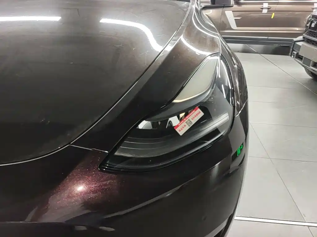 Tesla Model Y — фото 24