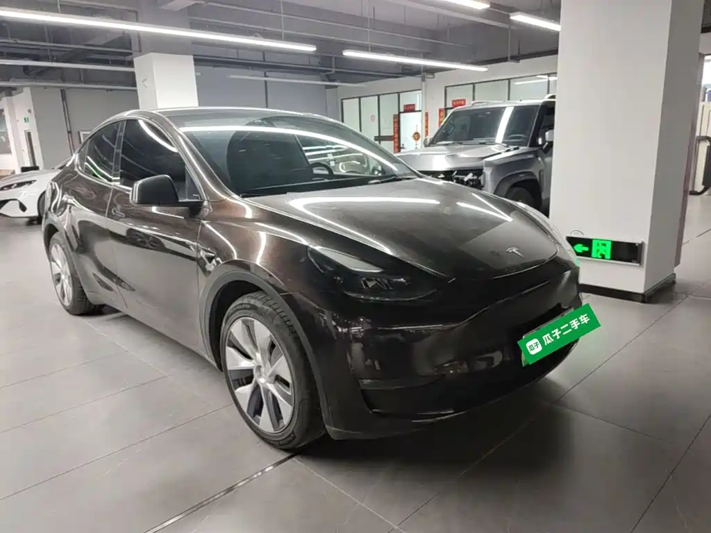 Tesla Model Y — фото 4