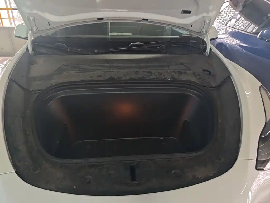 Tesla Model Y — фото 16