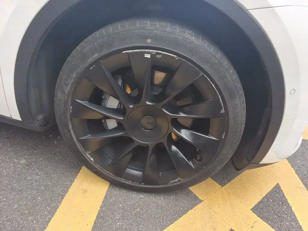 Tesla Model Y — фото 25