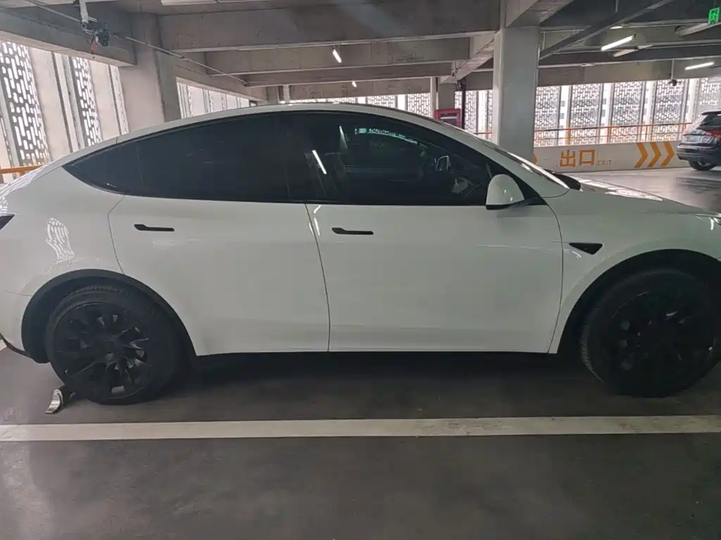 Tesla Model Y — фото 27
