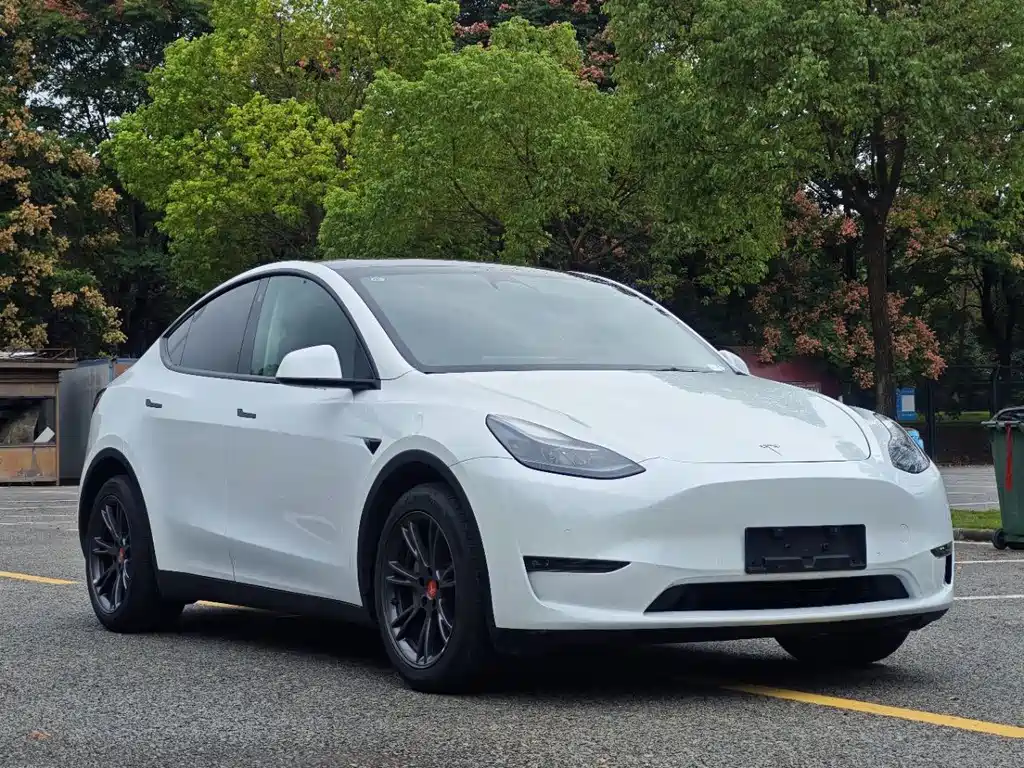 Tesla Model Y — фото 2