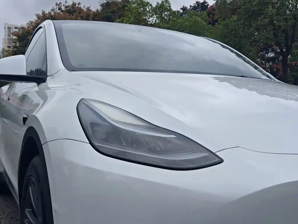 Tesla Model Y — фото 14