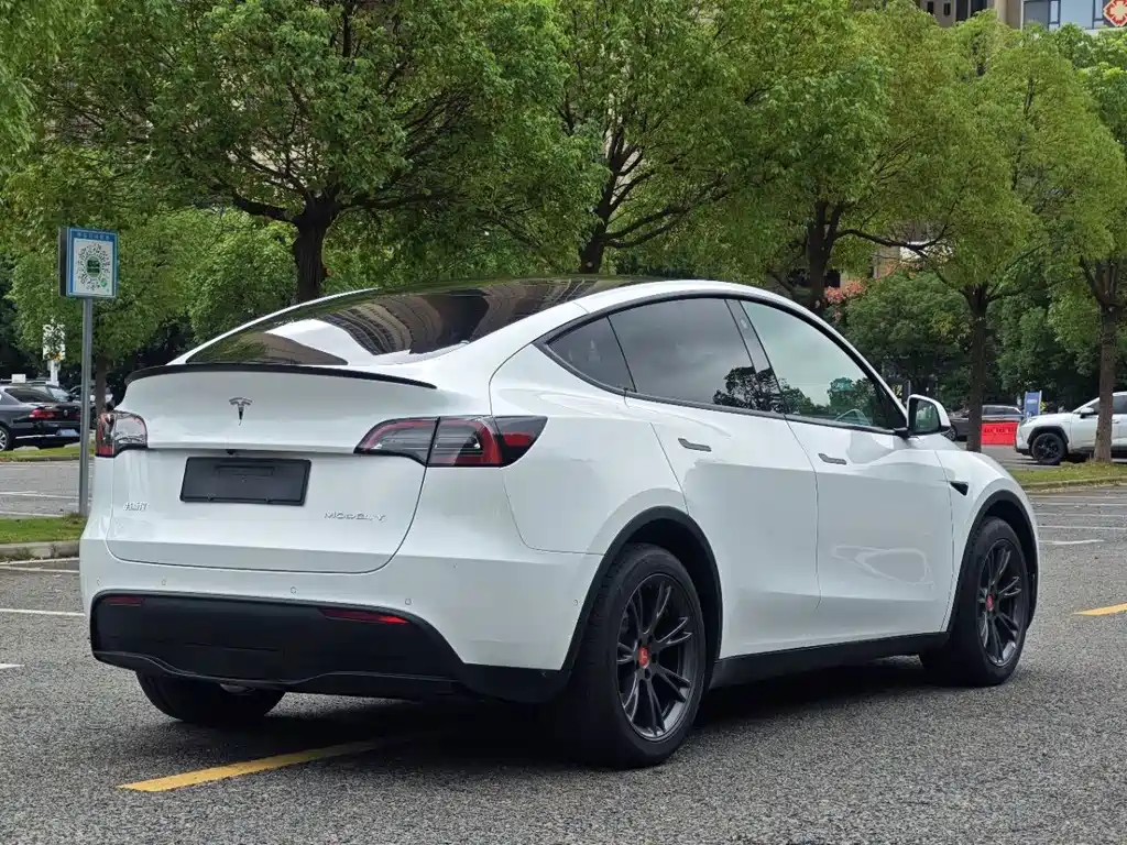 Tesla Model Y — фото 17