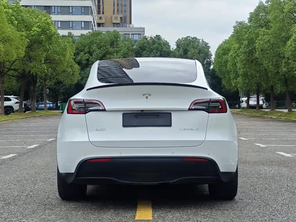 Tesla Model Y — фото 18