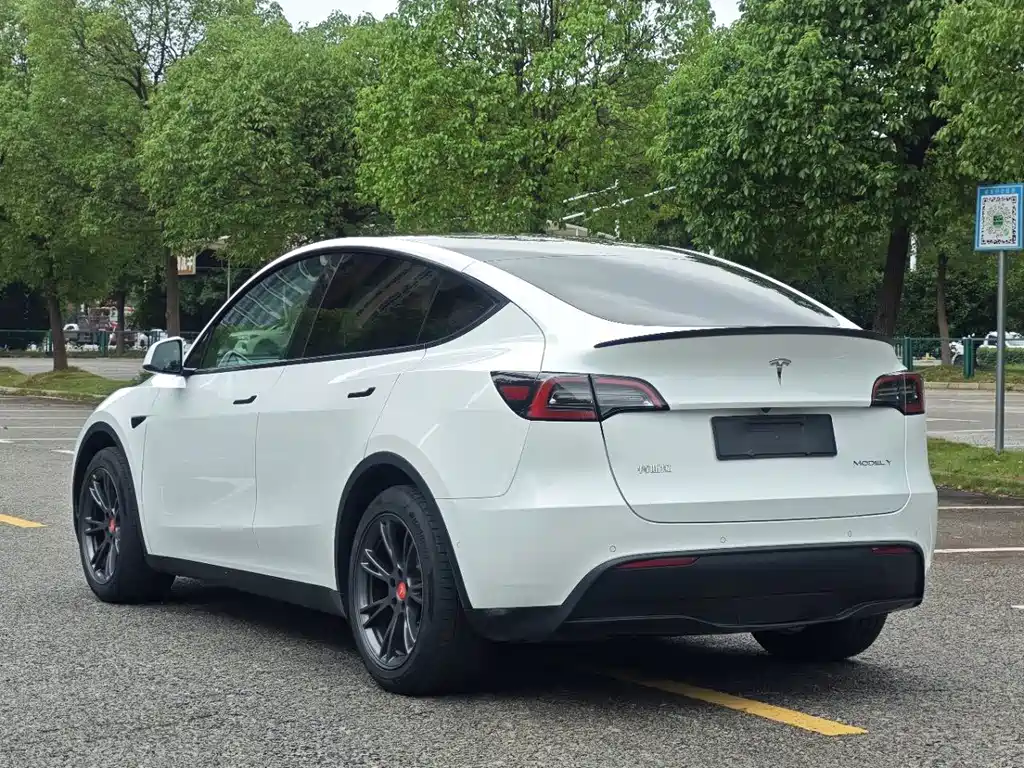 Tesla Model Y — фото 19