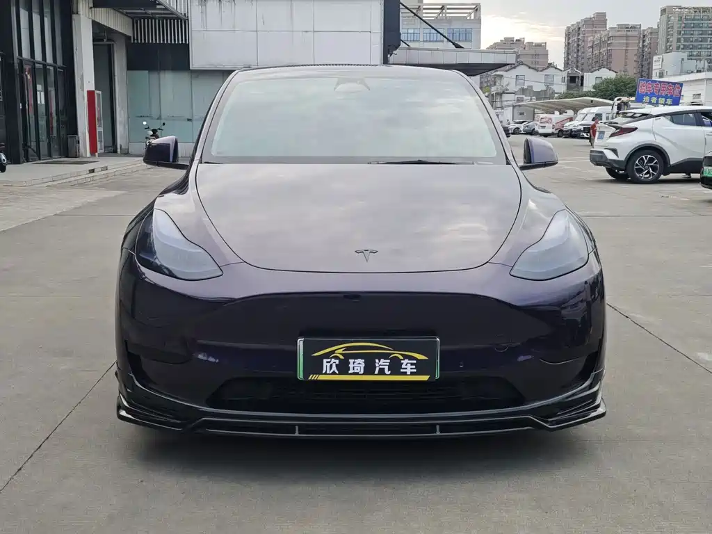 Tesla Model Y — фото 2