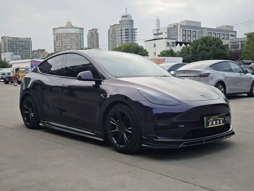 Tesla Model Y — фото 3