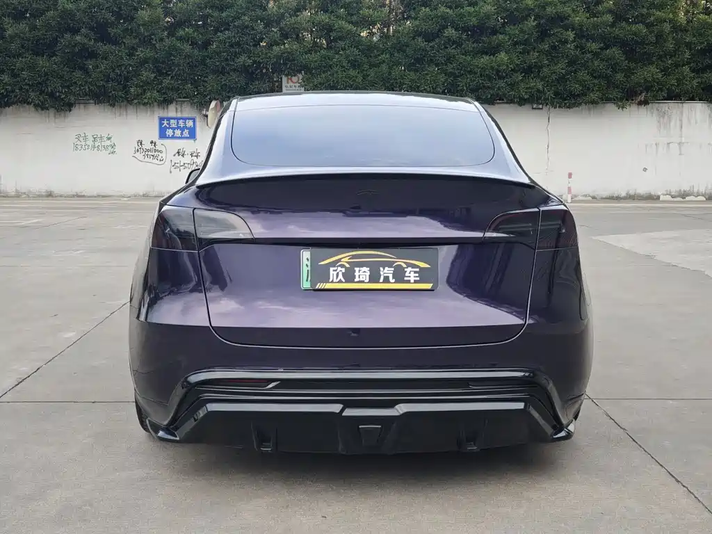 Tesla Model Y — фото 5