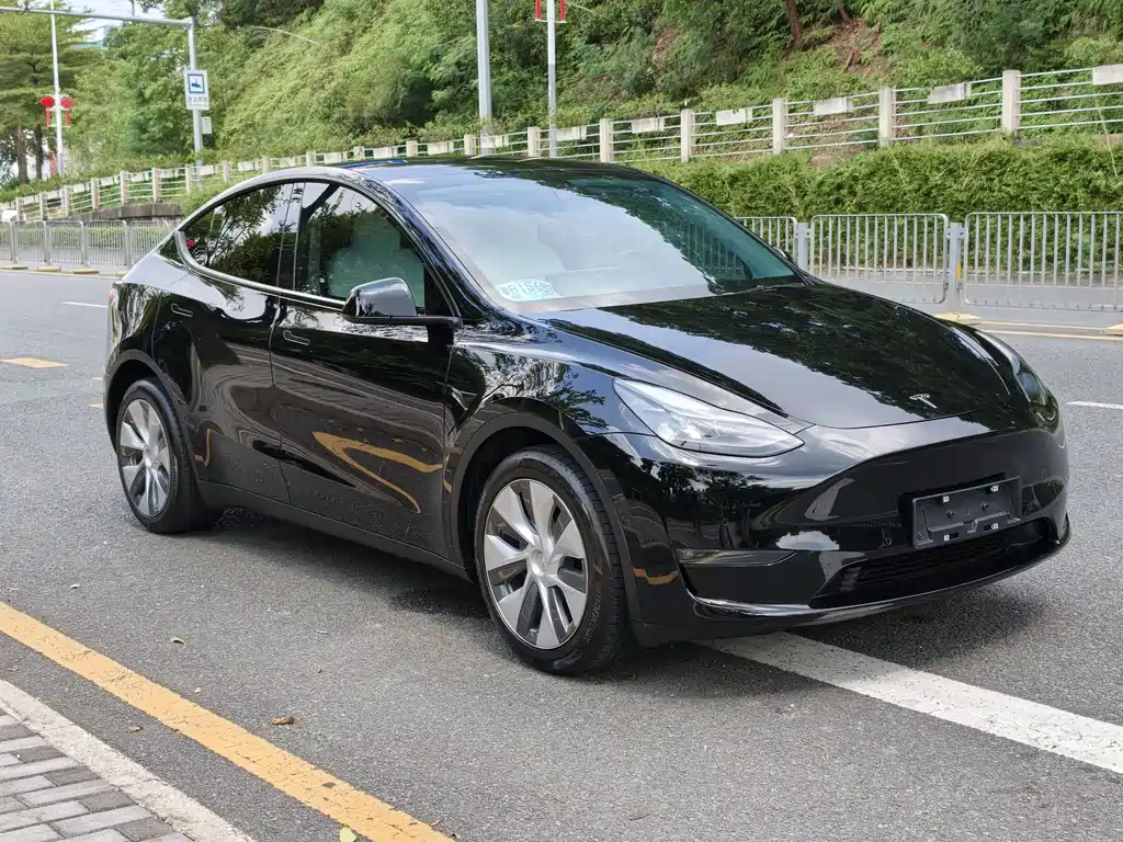 Tesla Model Y — фото 2