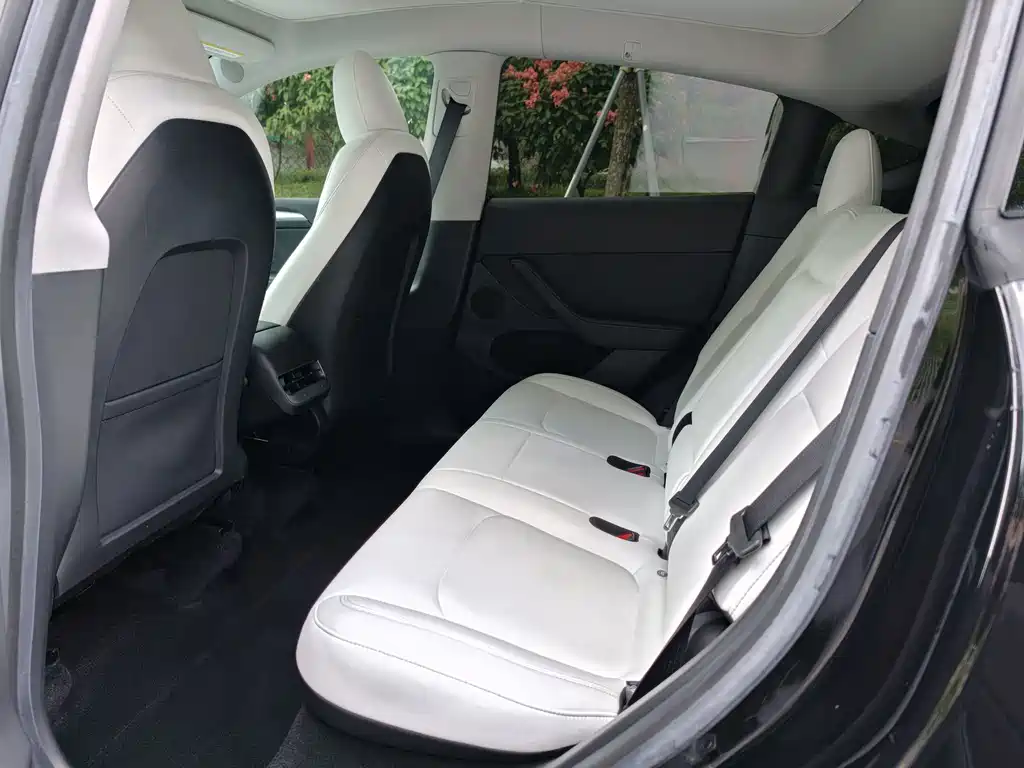 Tesla Model Y — фото 11