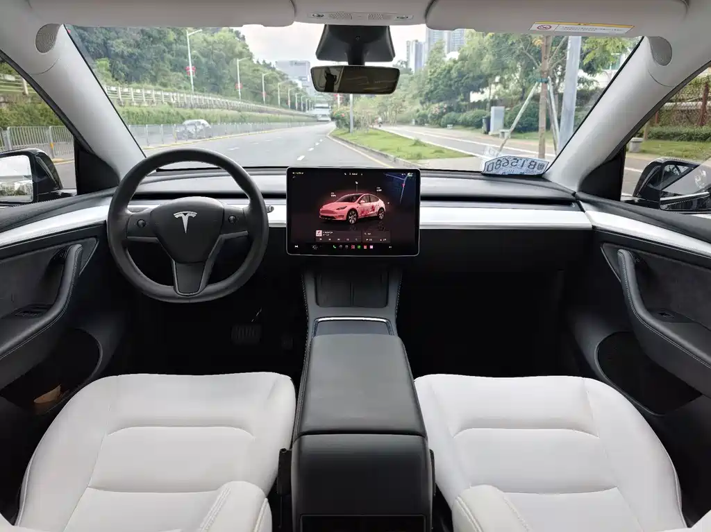 Tesla Model Y — фото 13