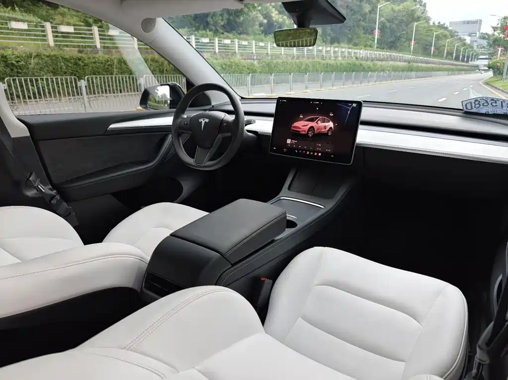 Tesla Model Y — фото 14
