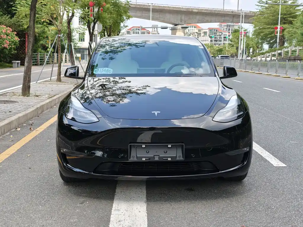 Tesla Model Y — фото 3