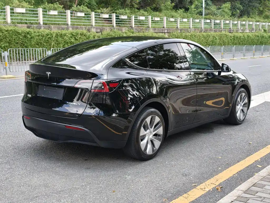 Tesla Model Y — фото 4
