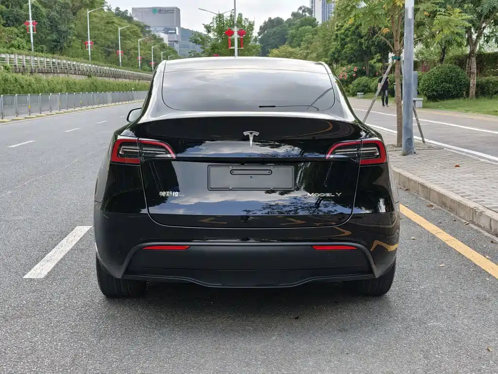 Tesla Model Y — фото 5