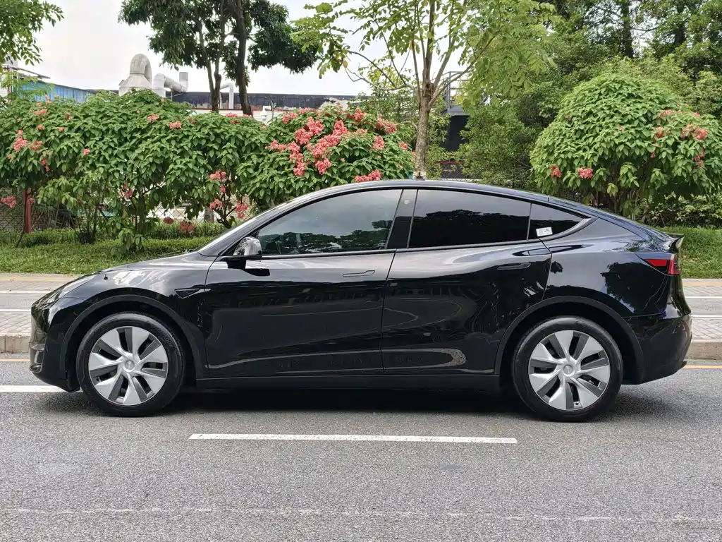 Tesla Model Y — фото 7