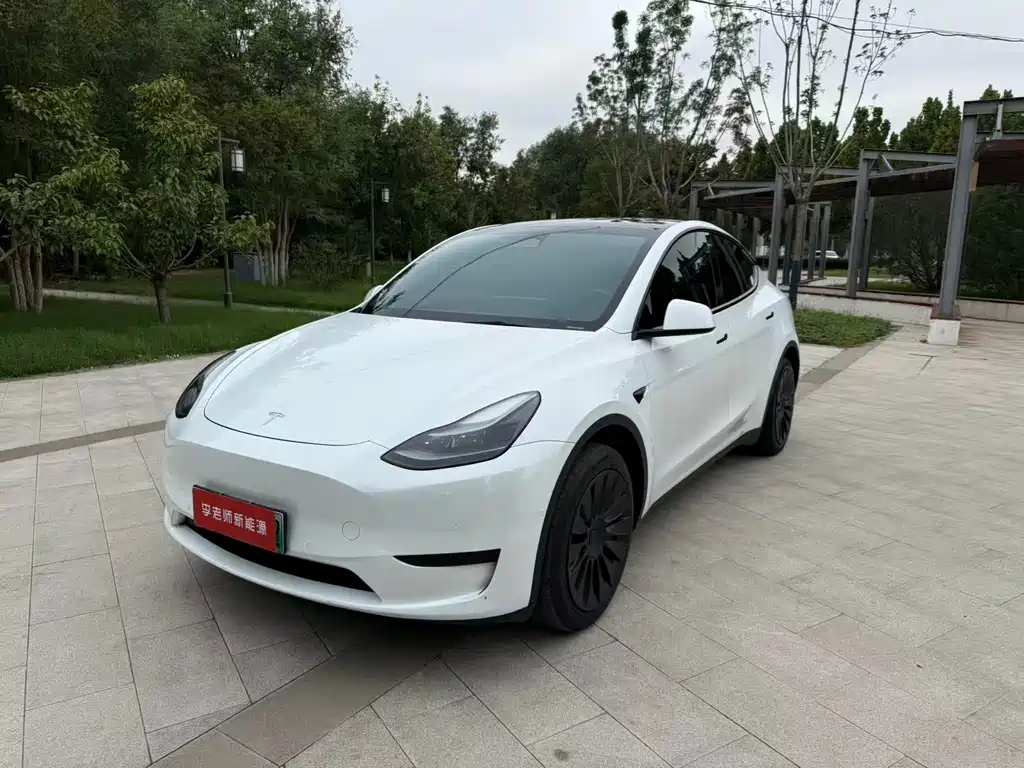 Tesla Model Y — фото 2