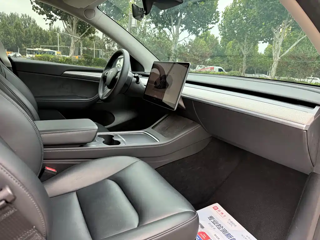 Tesla Model Y — фото 14