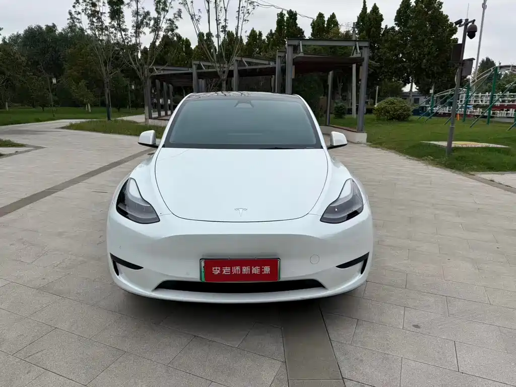 Tesla Model Y — фото 3