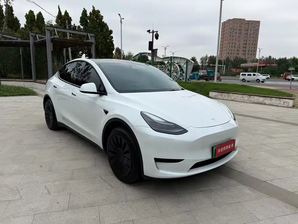 Tesla Model Y — фото 4