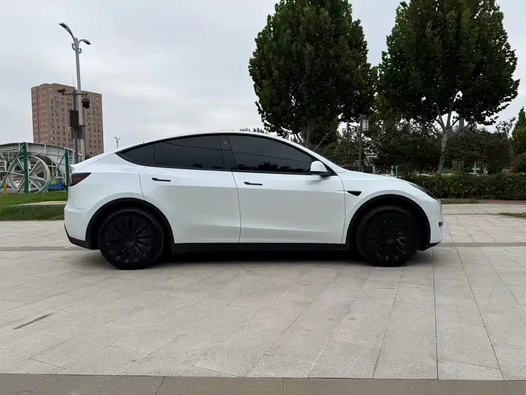 Tesla Model Y — фото 5