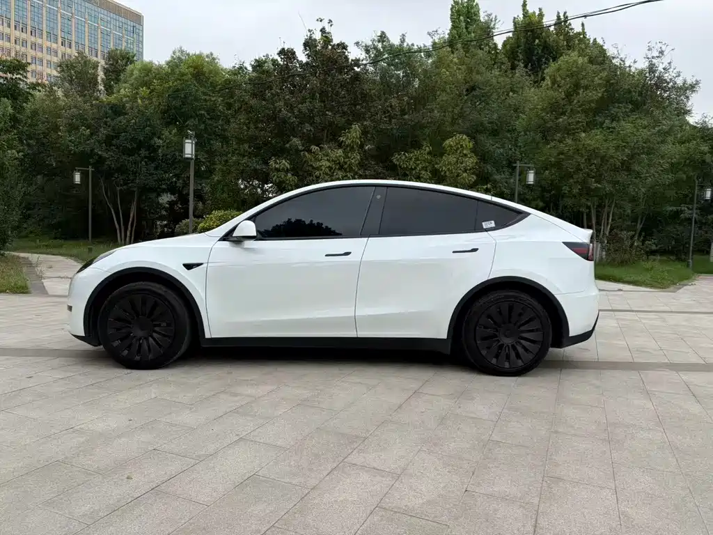 Tesla Model Y — фото 6