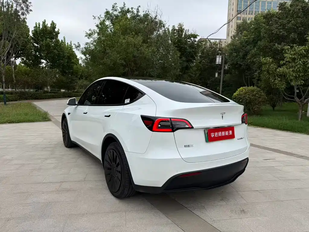 Tesla Model Y — фото 7