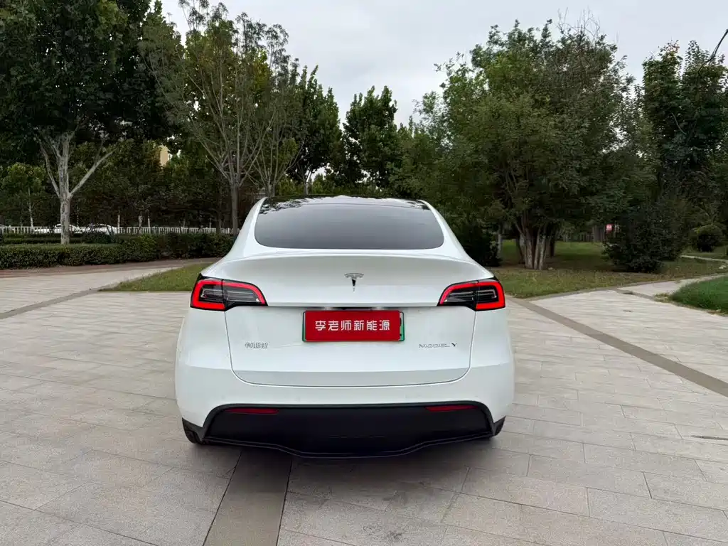 Tesla Model Y — фото 8