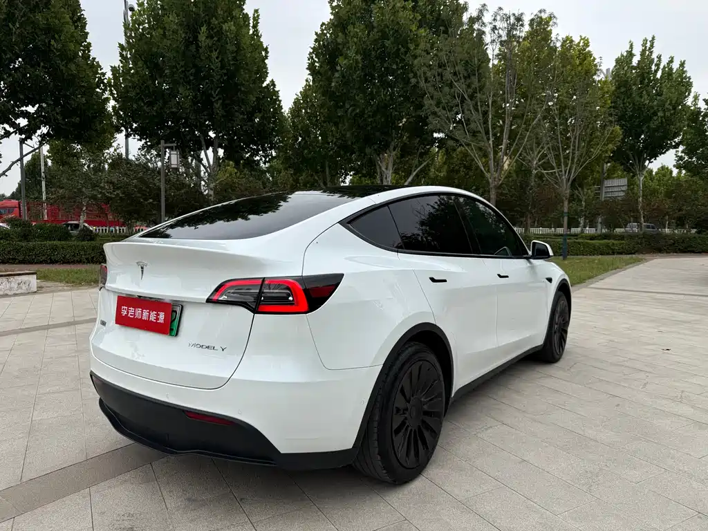 Tesla Model Y — фото 9