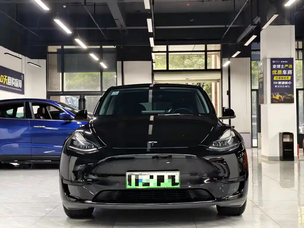 Tesla Model Y — фото 2