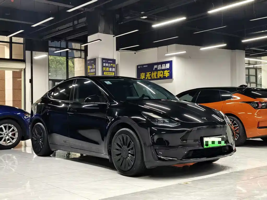Tesla Model Y — фото 3