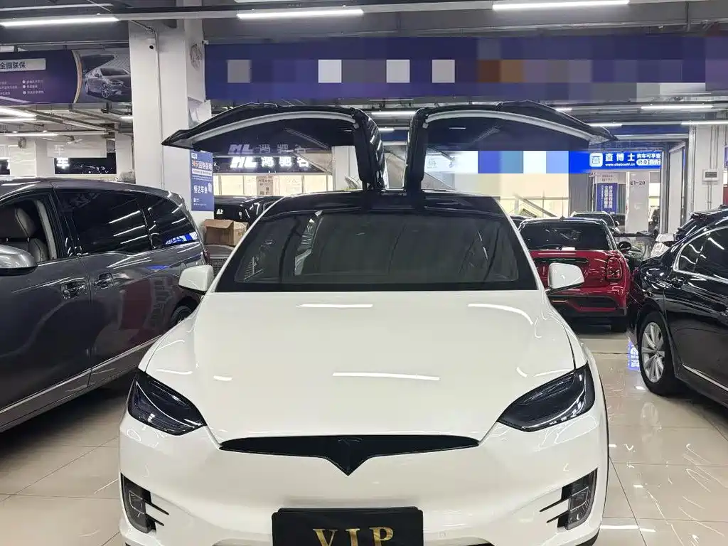Tesla Model X — фото 2