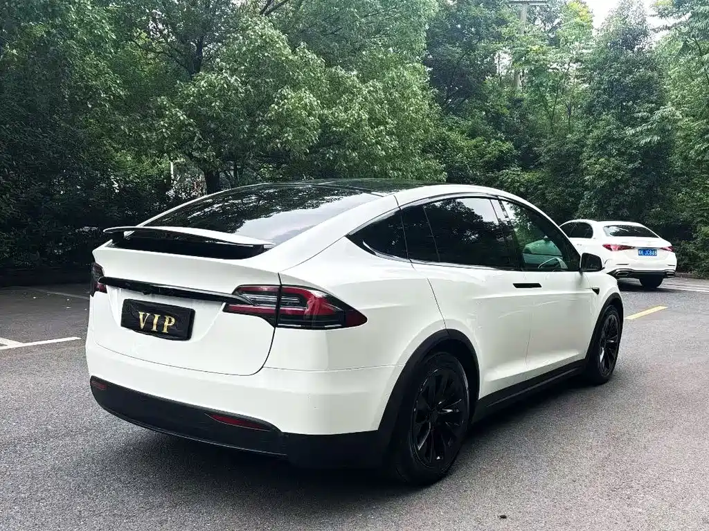 Tesla Model X — фото 3
