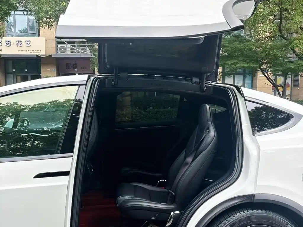 Tesla Model X — фото 5