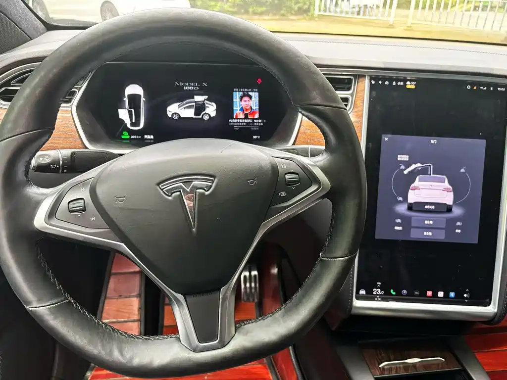 Tesla Model X — фото 6