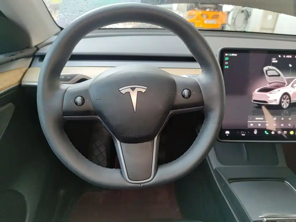 Tesla Model Y — фото 11