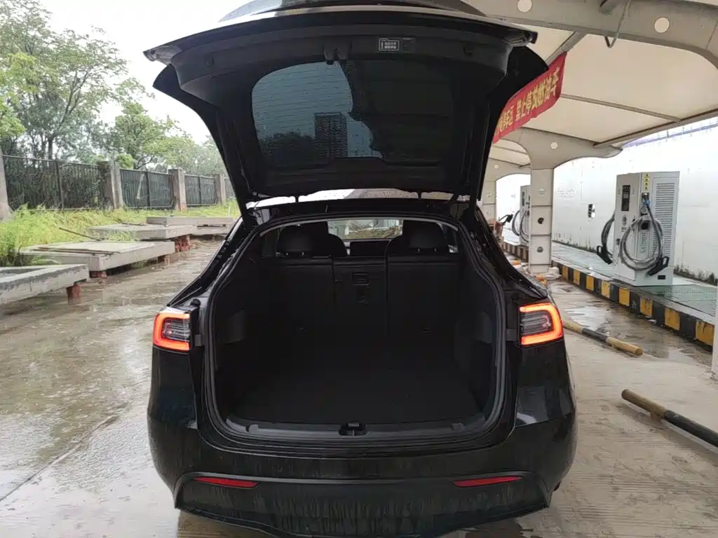Tesla Model Y — фото 19