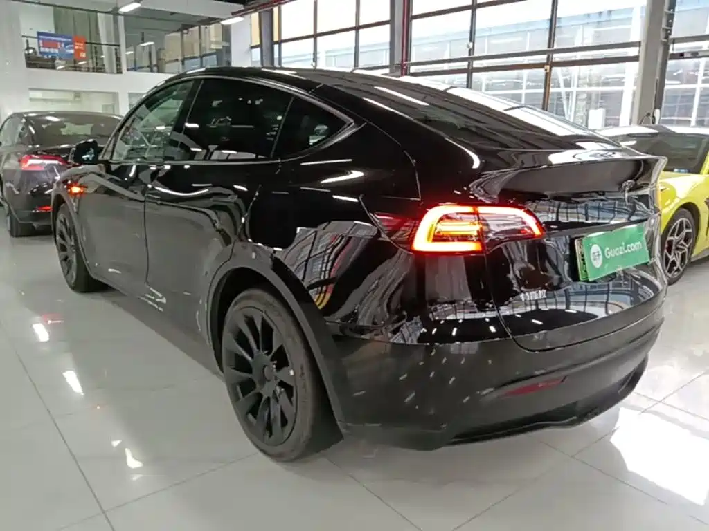 Tesla Model Y — фото 5