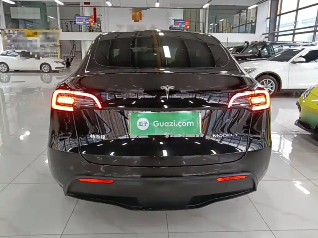 Tesla Model Y — фото 6